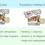 [doctormodu]1 TLICS morphology grade