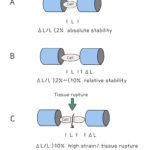 [doctormodu]absolute stability vs relative stability
