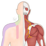 [doctormodu]14 DSN entrapment